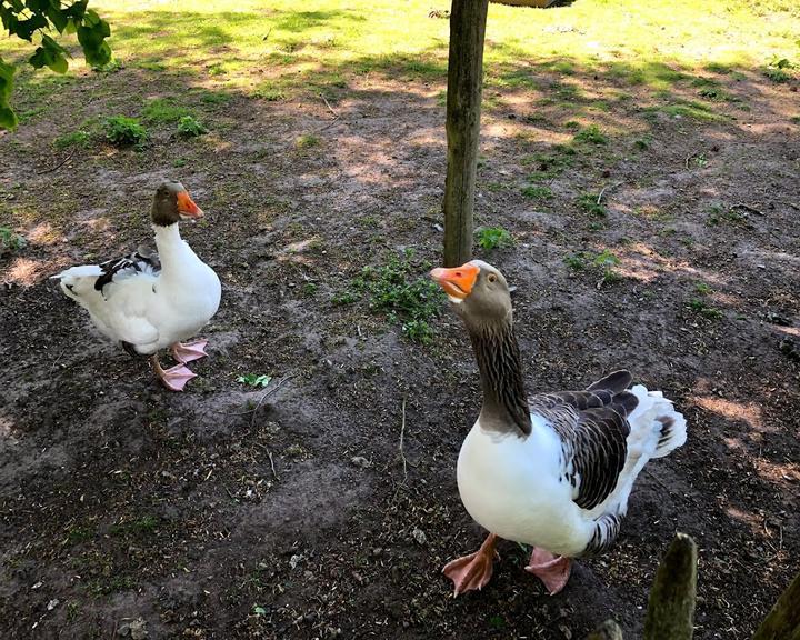 Meyers Hausstelle - Waldcafé & Restaurant mit Biergarten Rostocker Heide