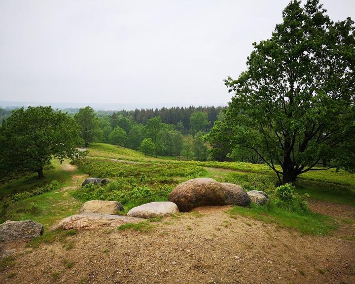 Am Boxberg